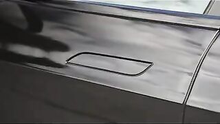 ПЛЕД TESLA MODEL S