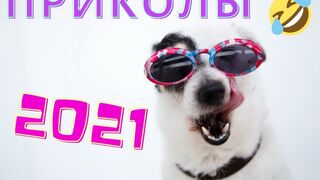Плохое настроение? - Посмотри это видео )))