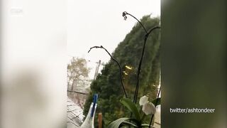 Разрушительный ураган и оползень в США Шторм рвет дома в Калифорнии