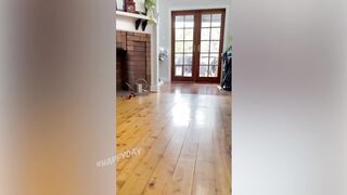 СМЕШНЫЕ КОШКИ 2021 И ДРУГИЕ ЖИВОТНЫЕ/ 10 МИНУТ СМЕХА