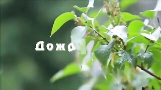 Юрий Шатунов - Дождь-Дождь
