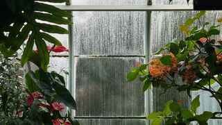 How to fall asleep quickly? RAIN for REM sleep. Rain sounds for meditation, healing and relaxation