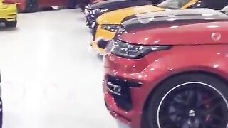 My dream is to own this beautiful car collection