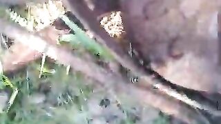 Коп удался с квест х5