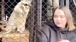 Funny dance with rakon