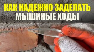 Как Заделать Мышиную Нору Надежно. Как Избавиться От Мышей