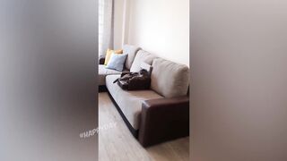 СМЕШНЫЕ КОШКИ 2021 И ДРУГИЕ ЖИВОТНЫЕ/ 10 МИНУТ СМЕХА