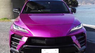 Toyota Venza Harrier 2022 'A Car Like Tarzan'