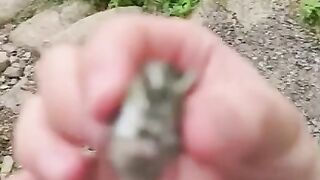 Тот самый сосед сверху
