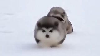 Веселые задорные смешные