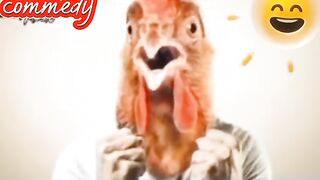 Funny video