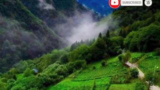 nature with song