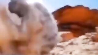 Beautiful video