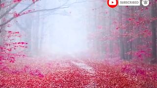 nature with song