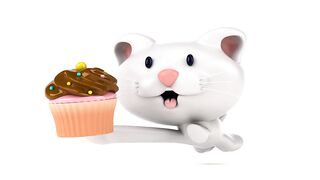 Funny cat video