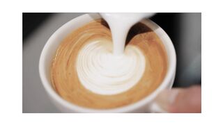 cappuccino mct 2023