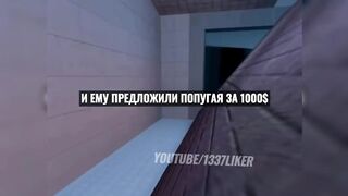 tik tok jokes league of bad jokes