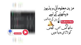 Earn_1500_Pkr_Daily_By_Eldibux_Site__|_Eldibux_Earn_Money_Online_app_|Reall_app_2023_Eldibux(360p).