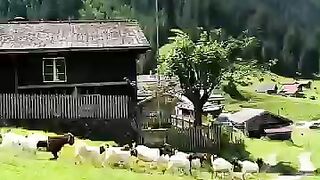 Staubifall – Schweiz | Der 300 Meter hohe Wasserfall im Wind