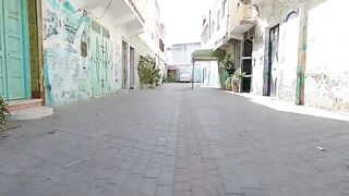 Only one of the hungry cats came running to us.