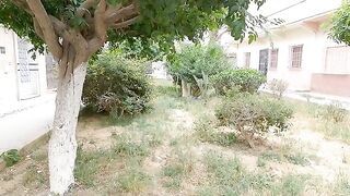 The shy cats who live in a small garden have gathered for Abdou meals