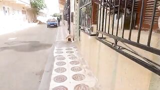 Mama Cat tries to protect her remaining kitten.