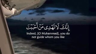 Tilawat e Quran Majeed