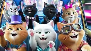Cute videos and trending cute cats and animals