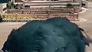 حصل الكلب حصلتا