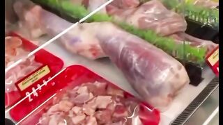 THE SECRET OF THE ELITE