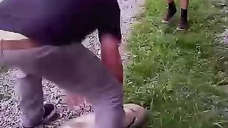 The Animals ???????? #animals #pets #shorts #viral