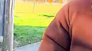 The Animals ???????? #animals #pets #shorts #viral