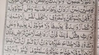 Beautiful Quran Recitation | Peaceful Tilawat | @sirf Allah”