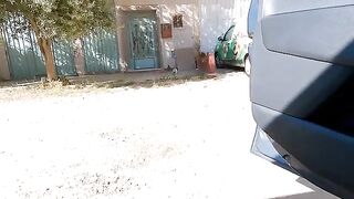 The cats that came to my car door asking me for food are very hungry.
