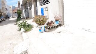 The cute cat went to tell her friends after waking up and seeing that we came.