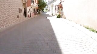 Cats sitting in the middle of the road give each other a kiss.