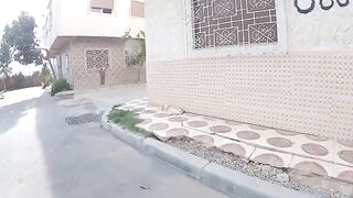 Cute stray cats gathered around us asking for love and food.