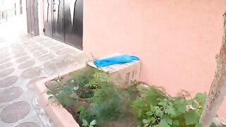 Stray cat Mama cuddles and nurses her kittens with love.