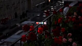 ❤️‍????❤️‍????❤️‍????❤️‍????