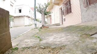 A stray cat trusts us when she sees us petting her pregnant friend.