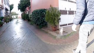 The stray cat that stands on two legs like a human is incredibly cute.