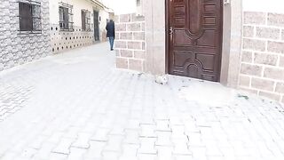 A Cute Stray Cat wants a Nice Fur Massage.
