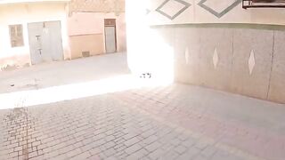 A cute tuxedo cat with bright eyes, but he was shy when eating.