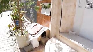 After the homeless mother cat returns, her kittens look at her cutely.