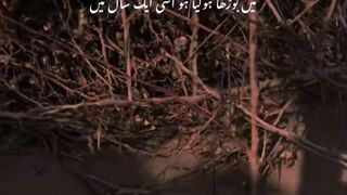 Urdu poetry