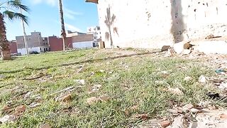 The kitten wants to approach me but is afraid of being attacked by the adult cat.