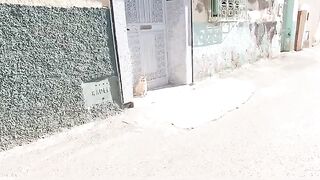 The cute stray cat is lying in front of the door to warm itself in the sun.