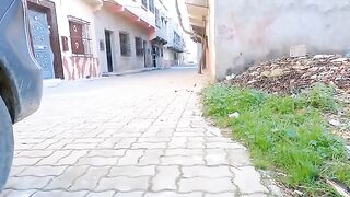 Calico cat runs towards the food server because she always brings delicious food.