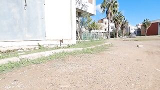The mother cat hit her kitten because she approached the strange cat.