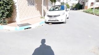 A cat with thick and long hair sleeps under the car because he is homeless.